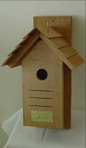 Birdhouse view 1.
