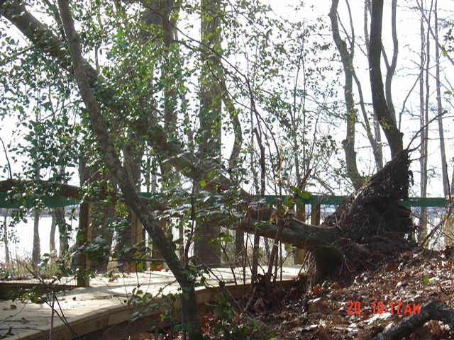 Wind Damage