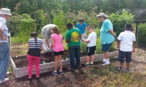 Blayton-school-garden