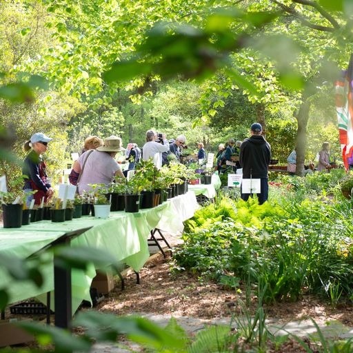 JCCWilliamsburg Master Gardener Association - Neighbors Helping