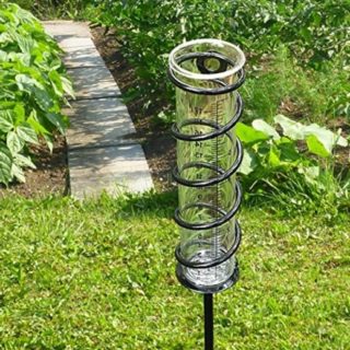 a rain gauge in a yard