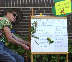 Bilingual Plant Board Display