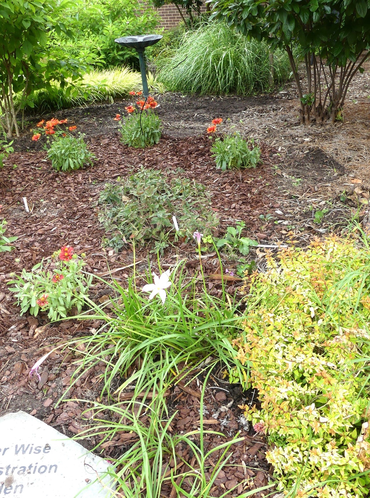Water Wise Garden Birdbath