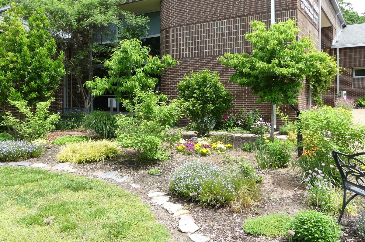 Water Wise Garden Front entrance to JCC Human Services