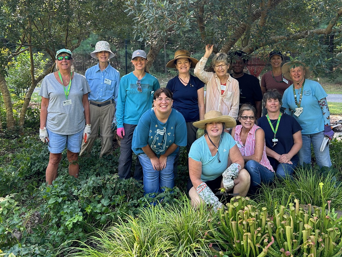 Master Gardener Volunteers in the Botanical Gardens