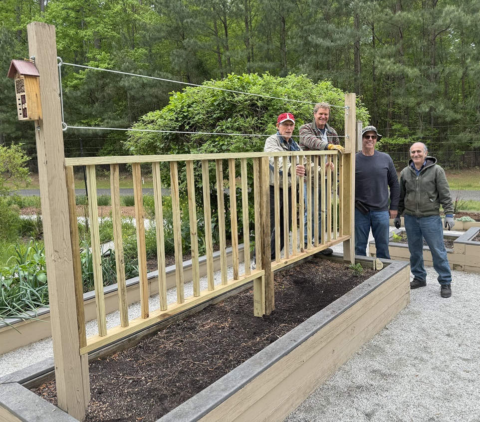 Volunteers working in garden