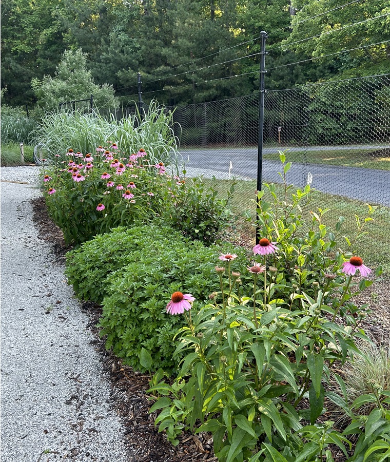 Fall & Winter Plants.