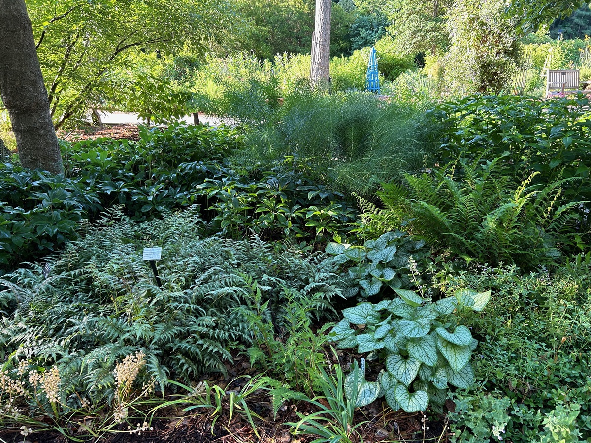 Perennial Garden WBG