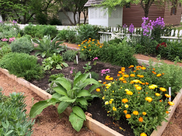 CW Garden Master Gardener
