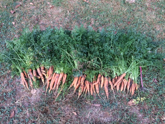 House of Mercy Produce