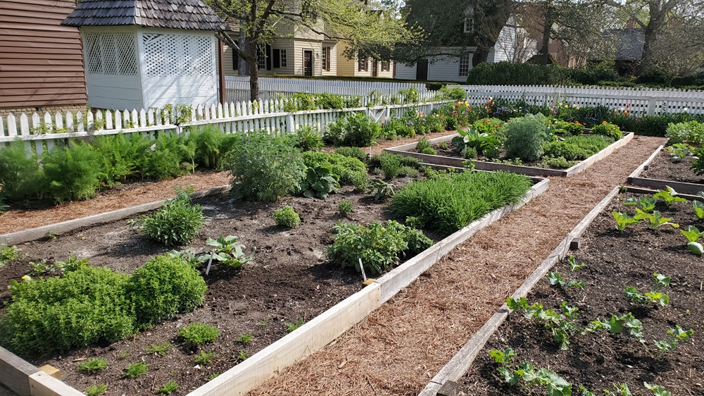CW Orr Vegetable Garden