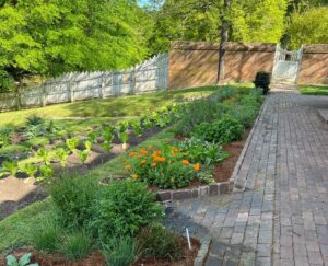 Governor's Place Herb Garden