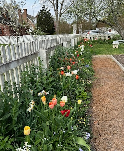 Shields Tavern Flower Border