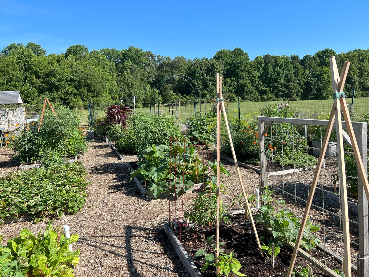 Historical Triangle garden in summer