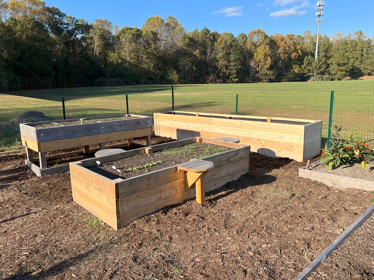 Raised garden beds for special access
