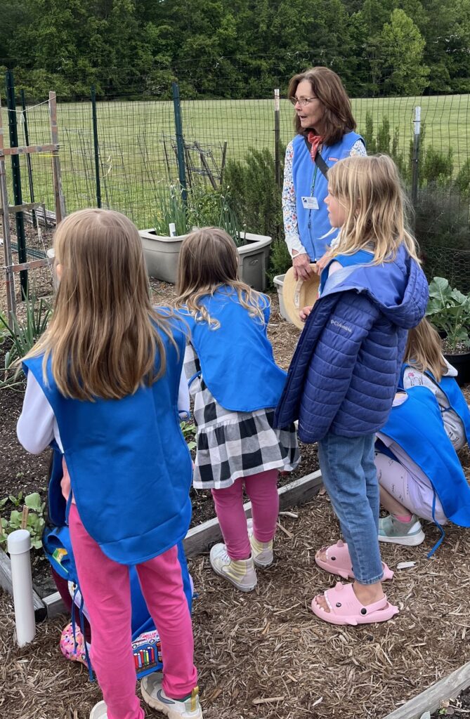 Girls Scouts learning gardening