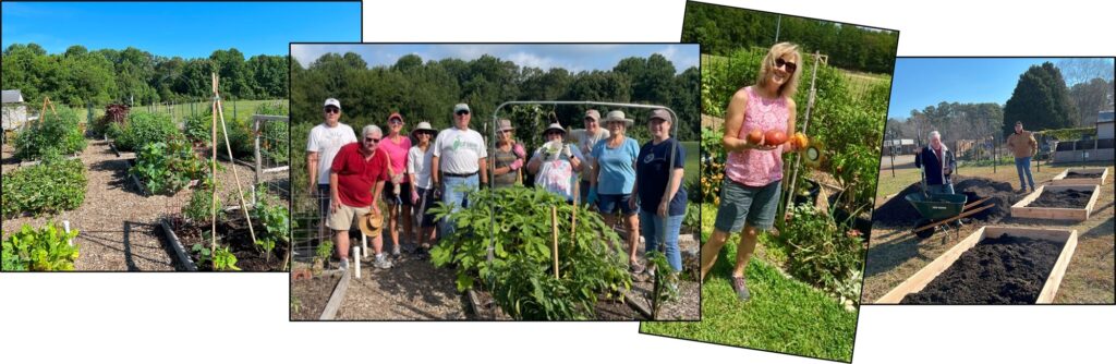 master gardeners photo collage