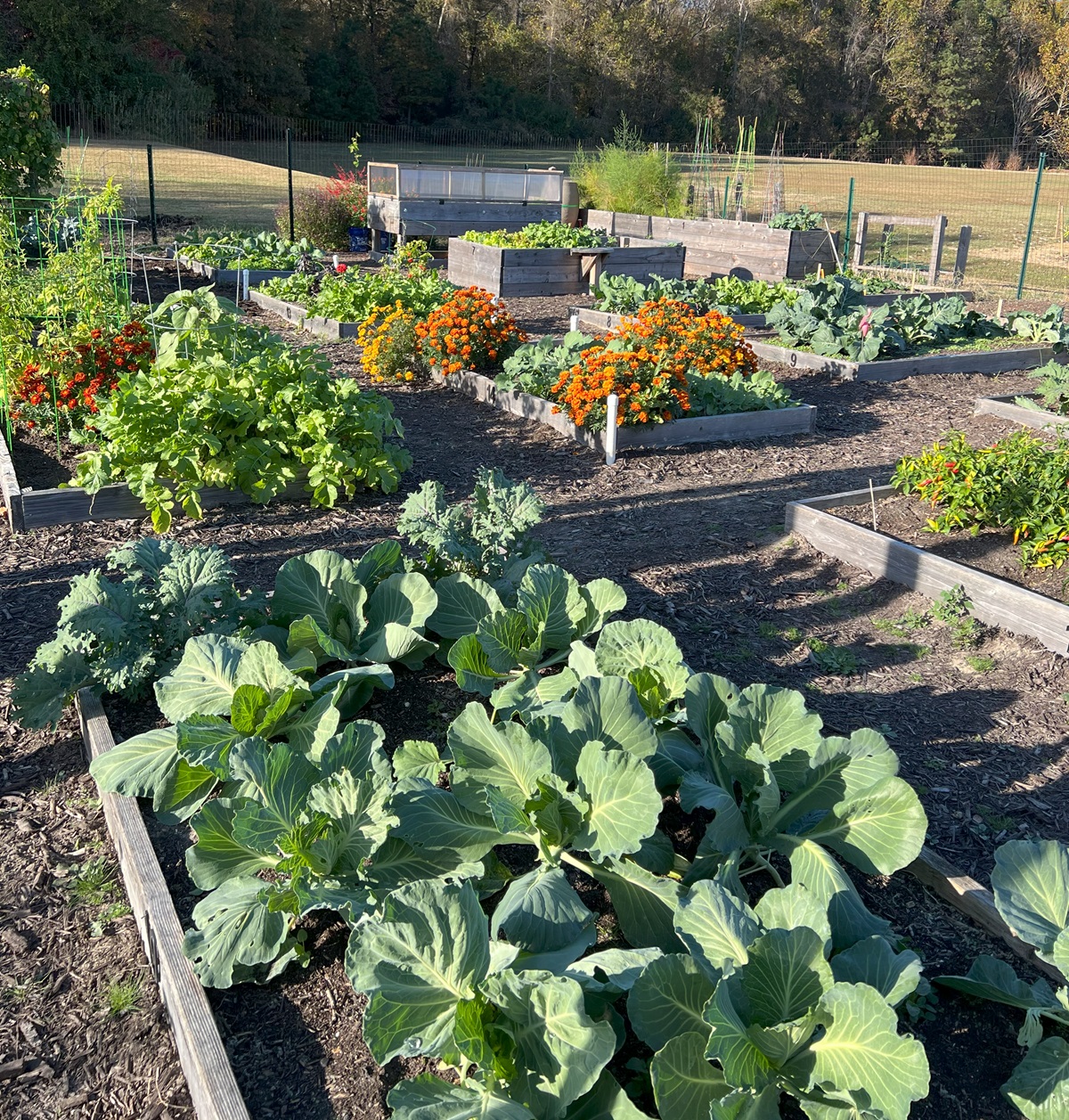 Historical Triangle Learning Garden