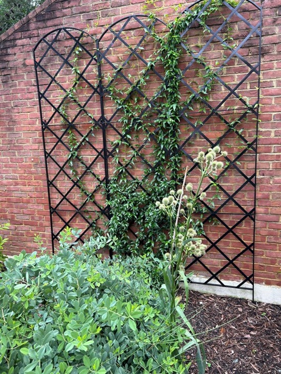 Jamestown Settlement Garden Cafe Trellis
