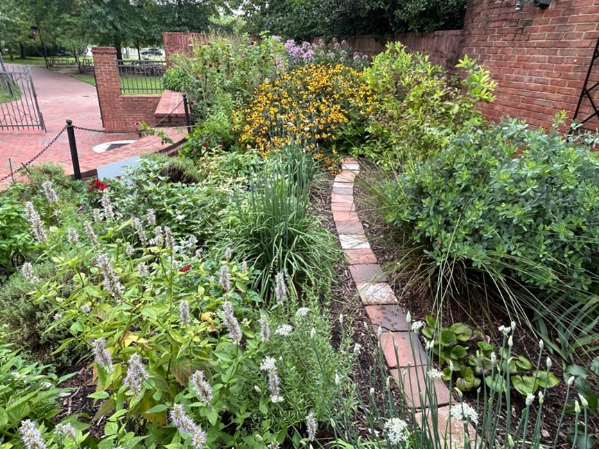 Jamestown Settlement Garden Cafe Summer
