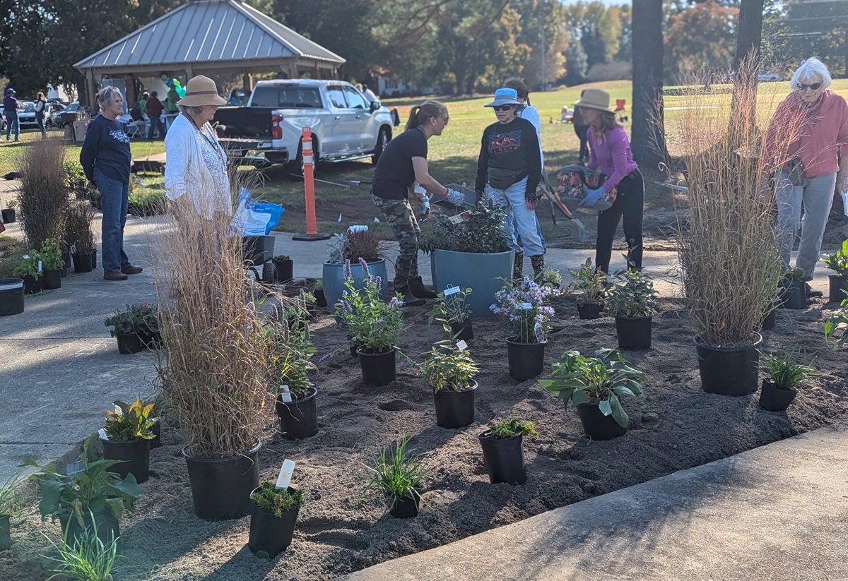 Master gardeners planting new plants in garden