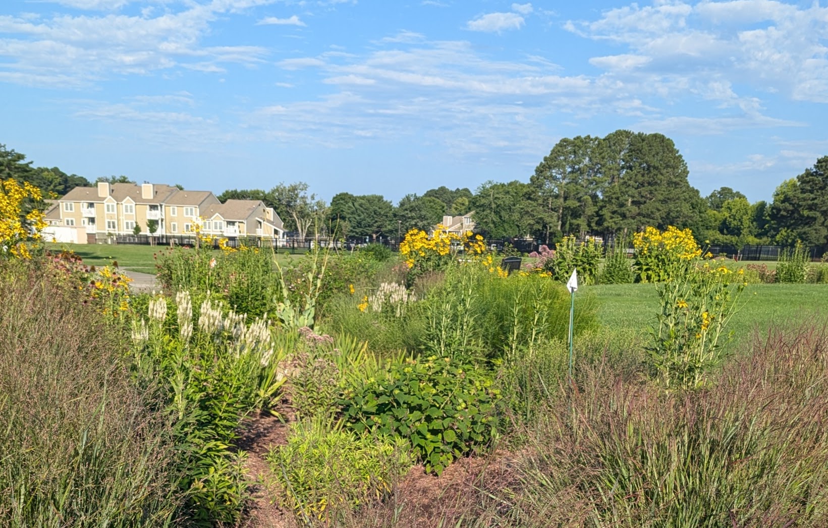 pollinator garden photo