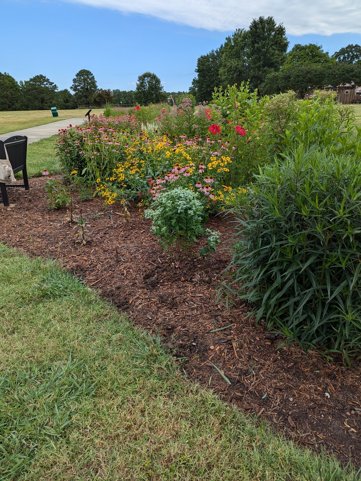 pollinator garden flowers
