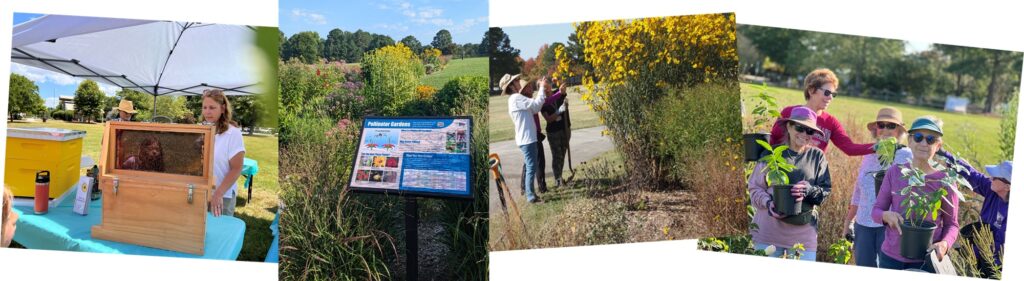 Pollinator garden photo collage