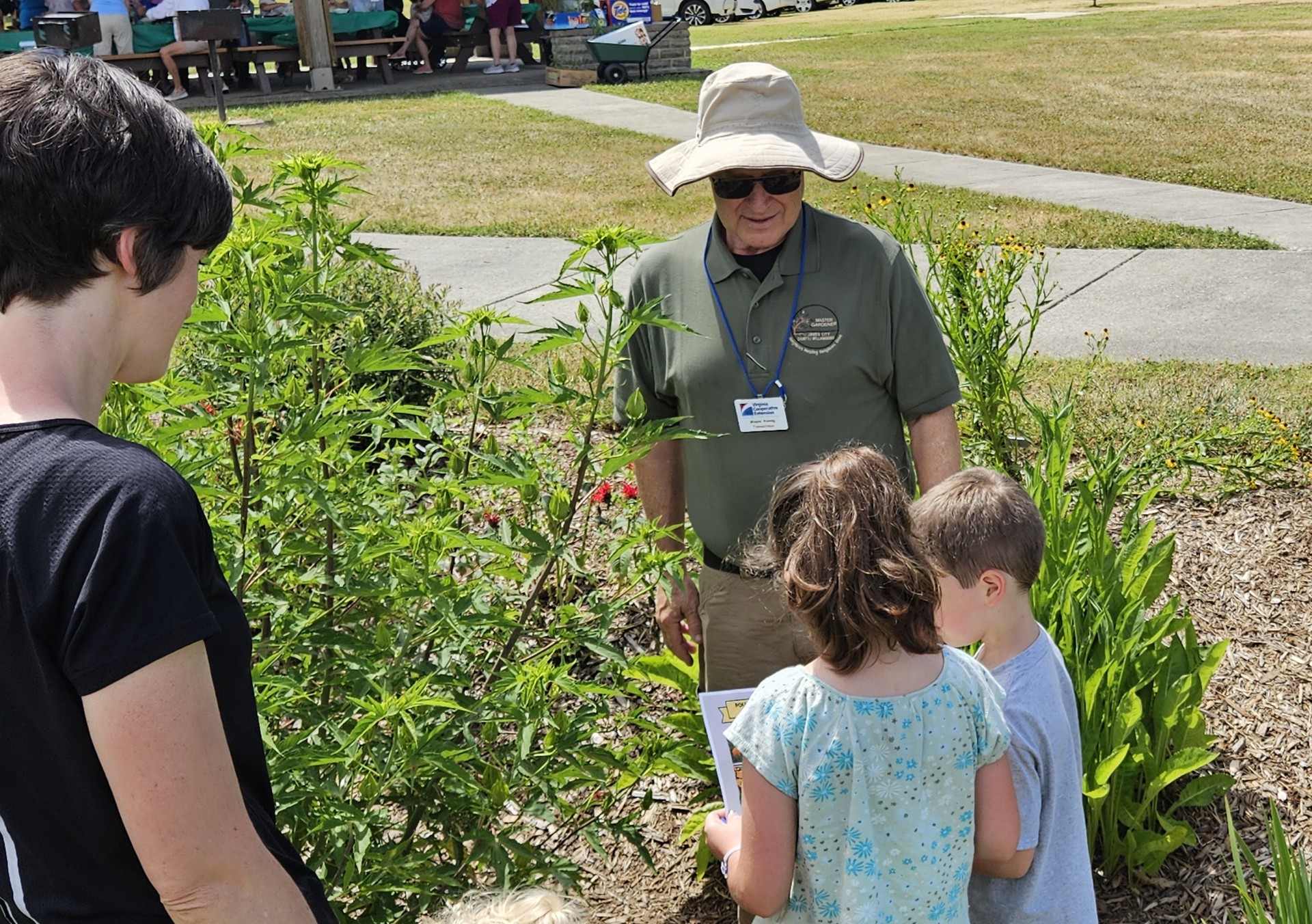 Children looking for insect pollinators