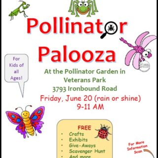 Pollinator Palooza 2025 Flyer