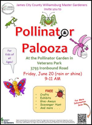 Pollinator Palooza 2025 Flyer