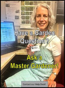 contact our help desk