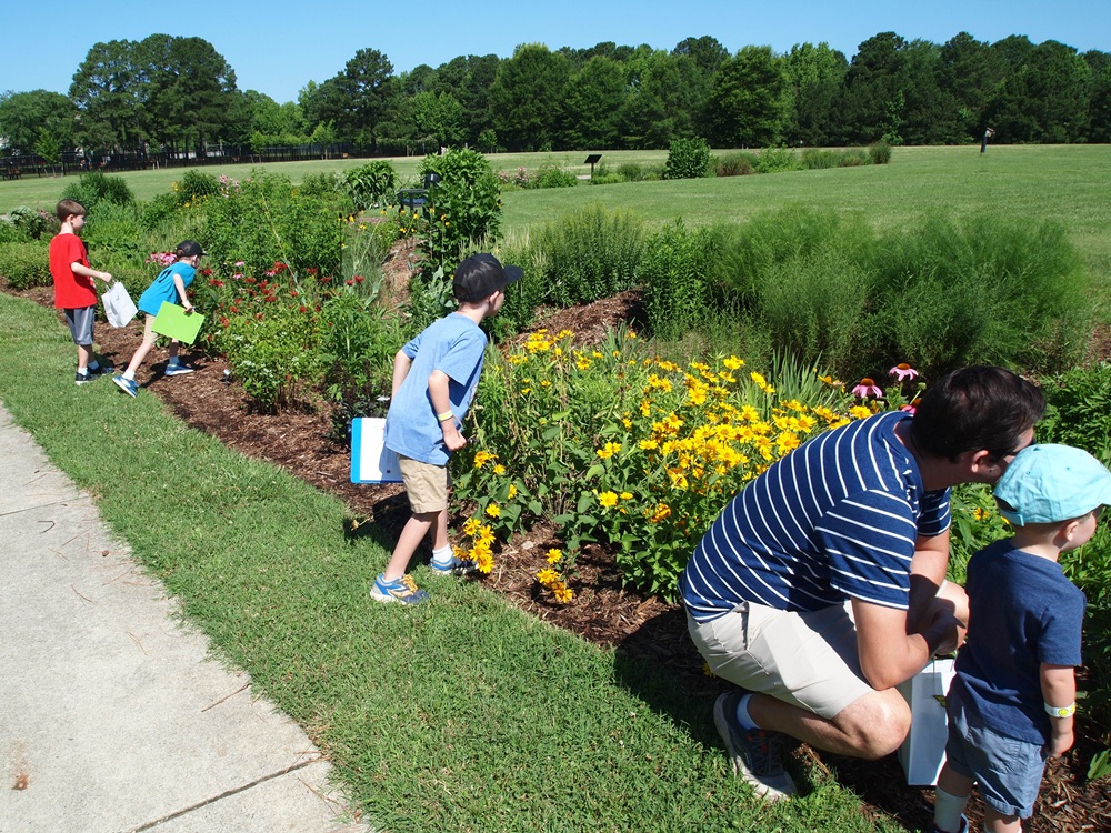 Children looking for bugs as part of the pollinator palooza scavenger hunt