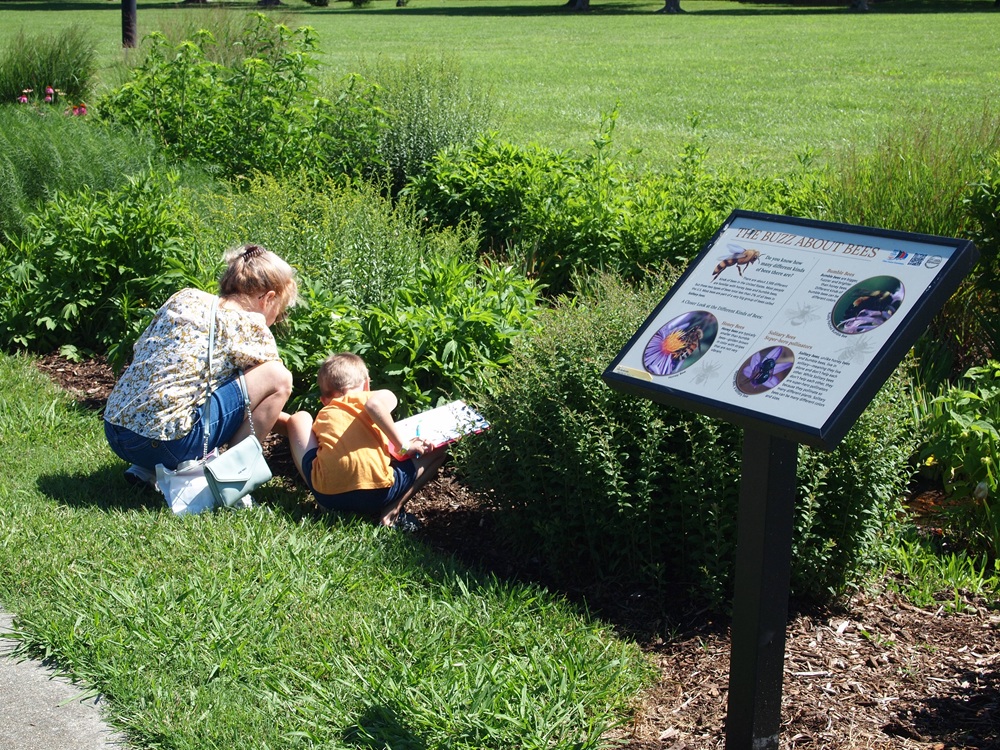 mother and child looking for insects